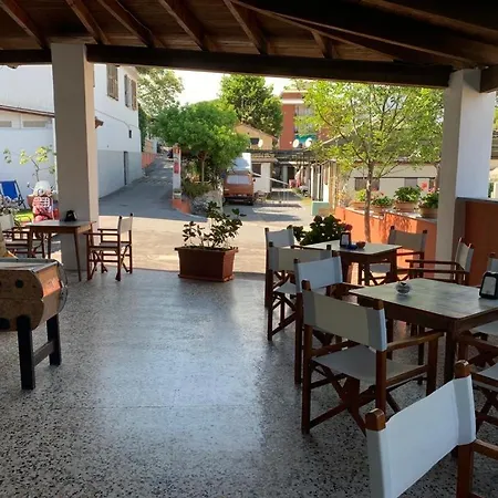 Campsite E Pfirsich
