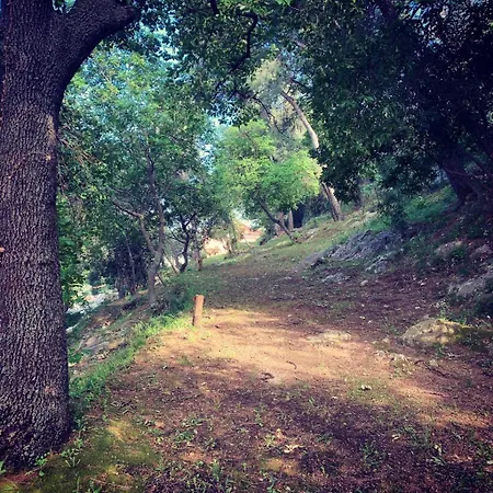 Camping E Pfirsich