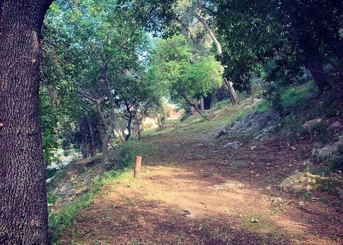 Campingplads E Pfirsich